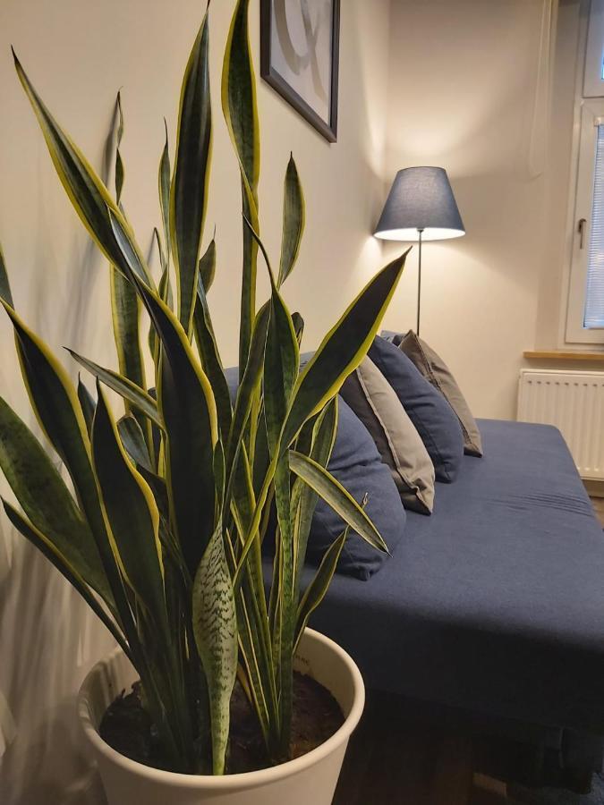 Apartament Na Wyspie Opole Exteriör bild